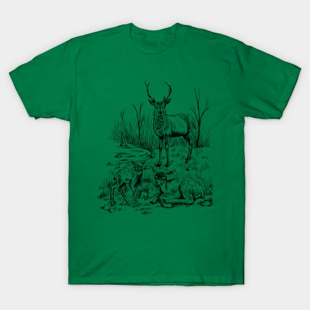 Deer family T-Shirt by rachelsfinelines